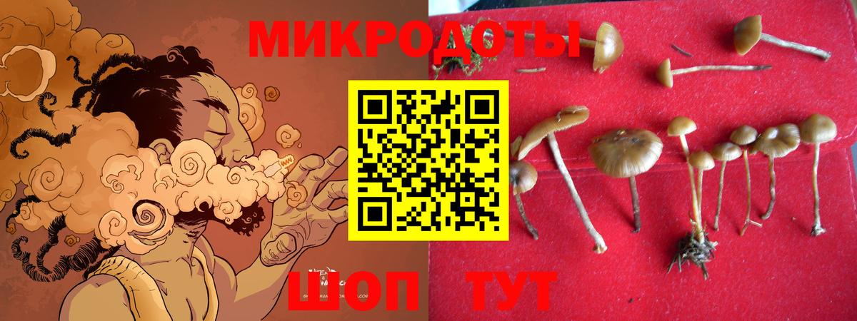 Псилоцибиновые грибы GOLDEN TEACHER  Вход с VPN  Уварово 